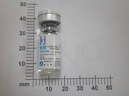 維健注射劑40毫克∕毫升 x 2毫升